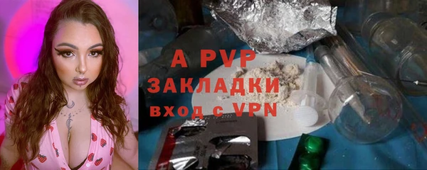 ECSTASY Осинники