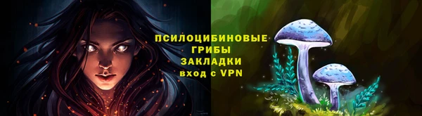 ECSTASY Осинники