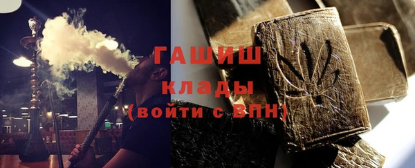 дурь Няндома