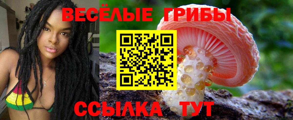 Галлюциногенные грибы мухоморы Курчатов